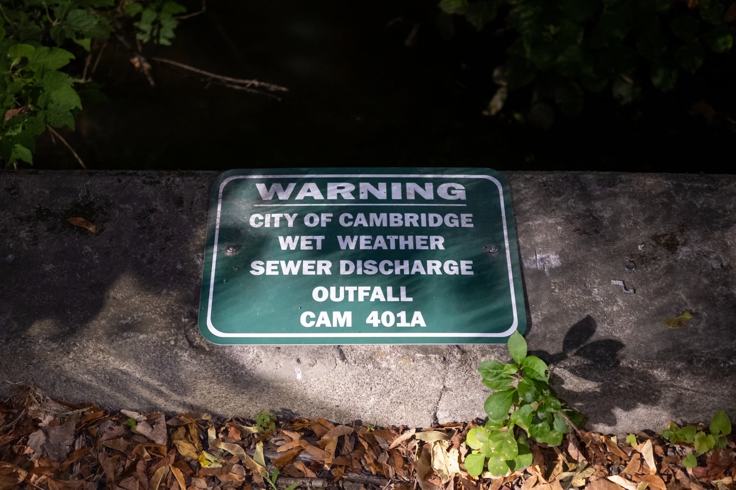 A photo of a sewage sign in Alewife Brook. Environmental groups oppose an MWRA proposal that would still allow storm-related sewage discharges into the Charles River.