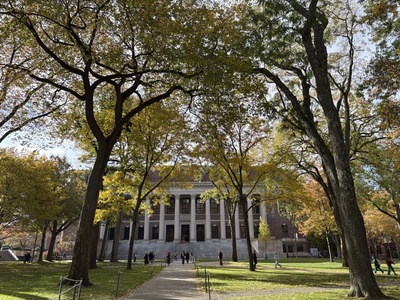 Cover image for Tercentenary Theatre Trees