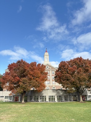 Cover image for Quad Lawn Trees