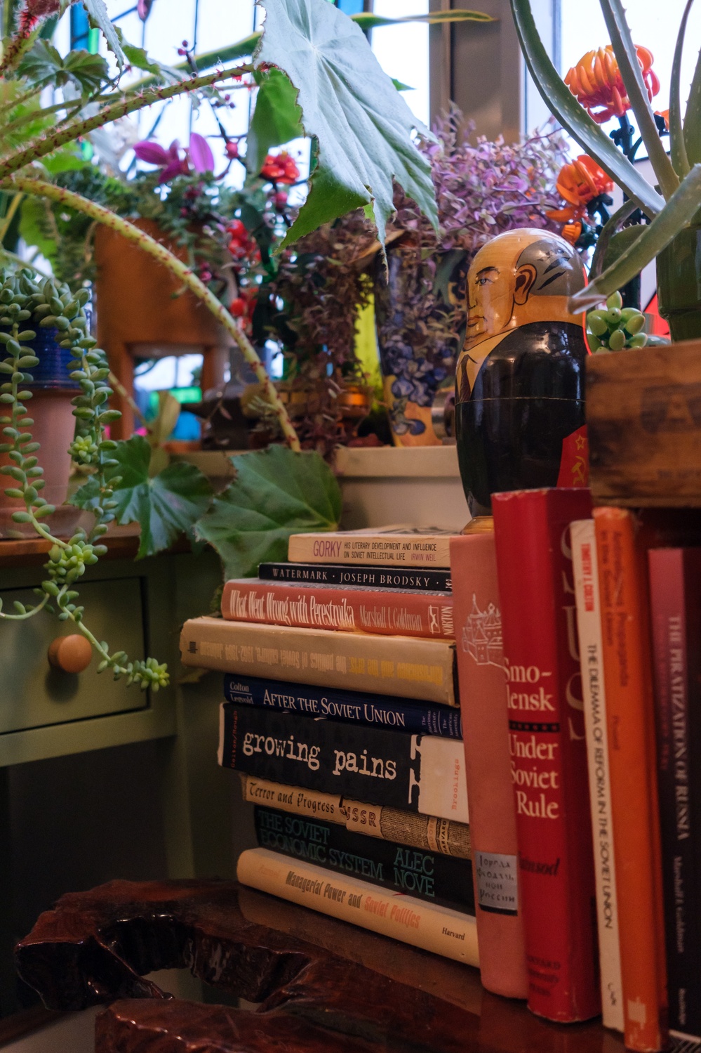 A collection of Reichert's books. 