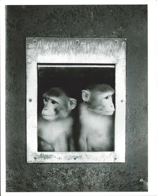 Cover image for NERPC 3