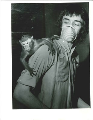 Cover image for The Unraveling of the New England Primate Research Center