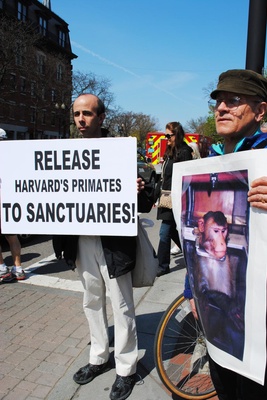 Cover image for Primate Research Protest 1