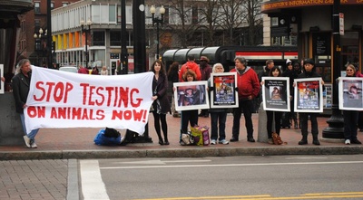 Cover image for Primate Research Protest 2
