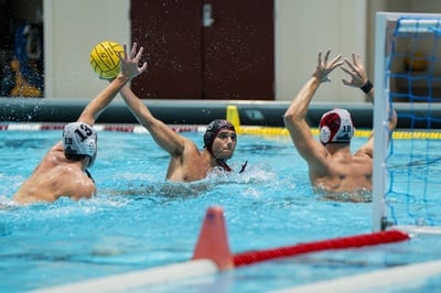 Cover image for Harvard Falls to Princeton in NWPC Championship, Tigers Win Five Straight