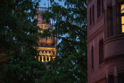 Cover image for Harvard Expands Screening of International Visitors After Federal Probes