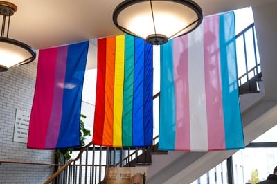Cover image for Pride Flags hanging in Lobby of Harvard T.H. Chan School of Public Health