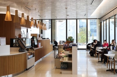 Cover image for HMS To Temporarily Close Countway Cafe Ahead of 2026 Reopening as Fully Self-Service Operation