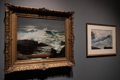 Cover image for Winslow Homer Image