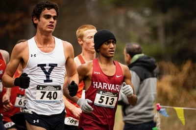 Cover image for Freshman Tam Gavenas Excels 