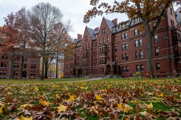 Cover image for Harvard Resident Tutor Sues University Over Unpaid Wages, Sick Leave