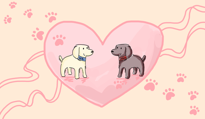 Cover image for Friends within Our Foes?: Sasha and Heidi