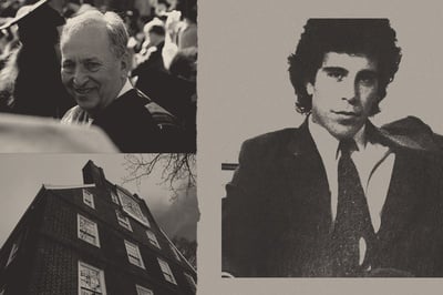 Cover image for The Professor and the Pedophile