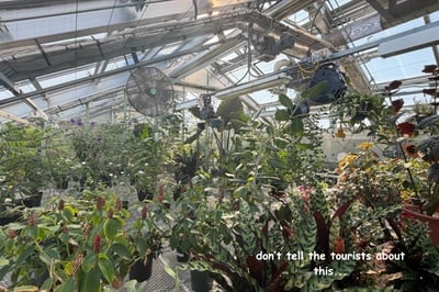 Cover image for No One Tell the Tourists About This…