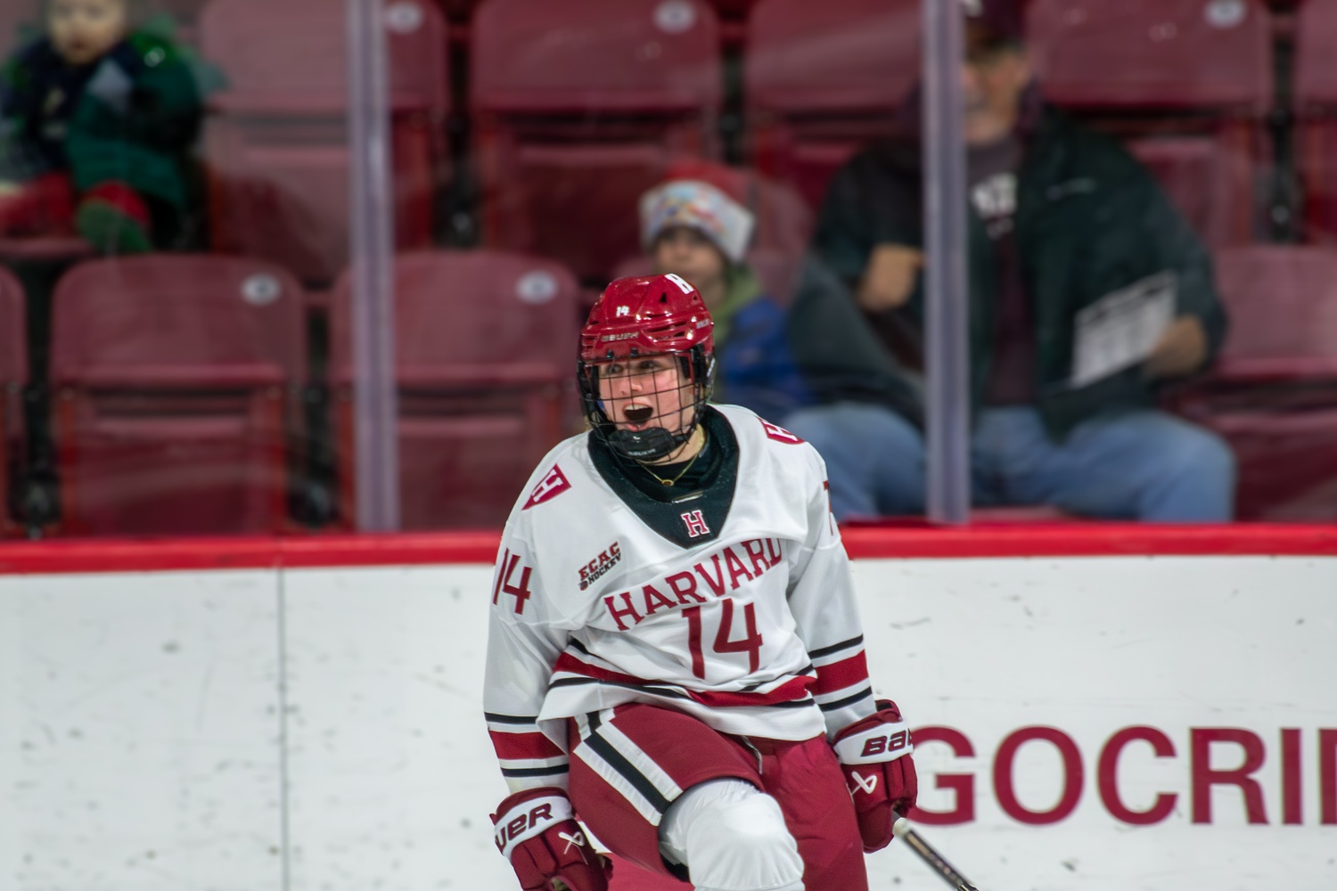 Freshman Carla McSweeney celebrates a goal against RPI earlier this season. The Chicago, Ill., native scored the game-winning goal in overtime against No. 5 Minnesota Duluth in the Friendship Four tournament.