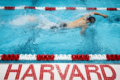 Cover image for Men’s Swim and Dive Crushes Brown in First Home Meet
