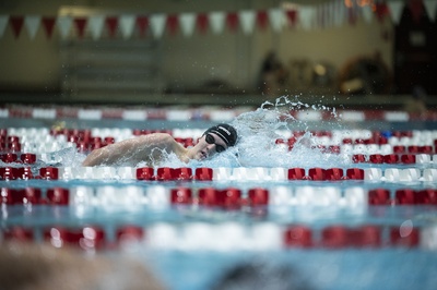 Cover image for Freestyler to First
