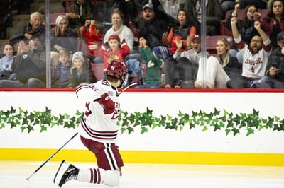 Cover image for Heikki Hits the Celly