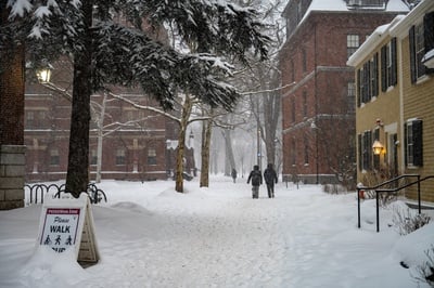 Cover image for In Defense of the Snow Day