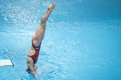 Cover image for Harvard Women's Divers Excel