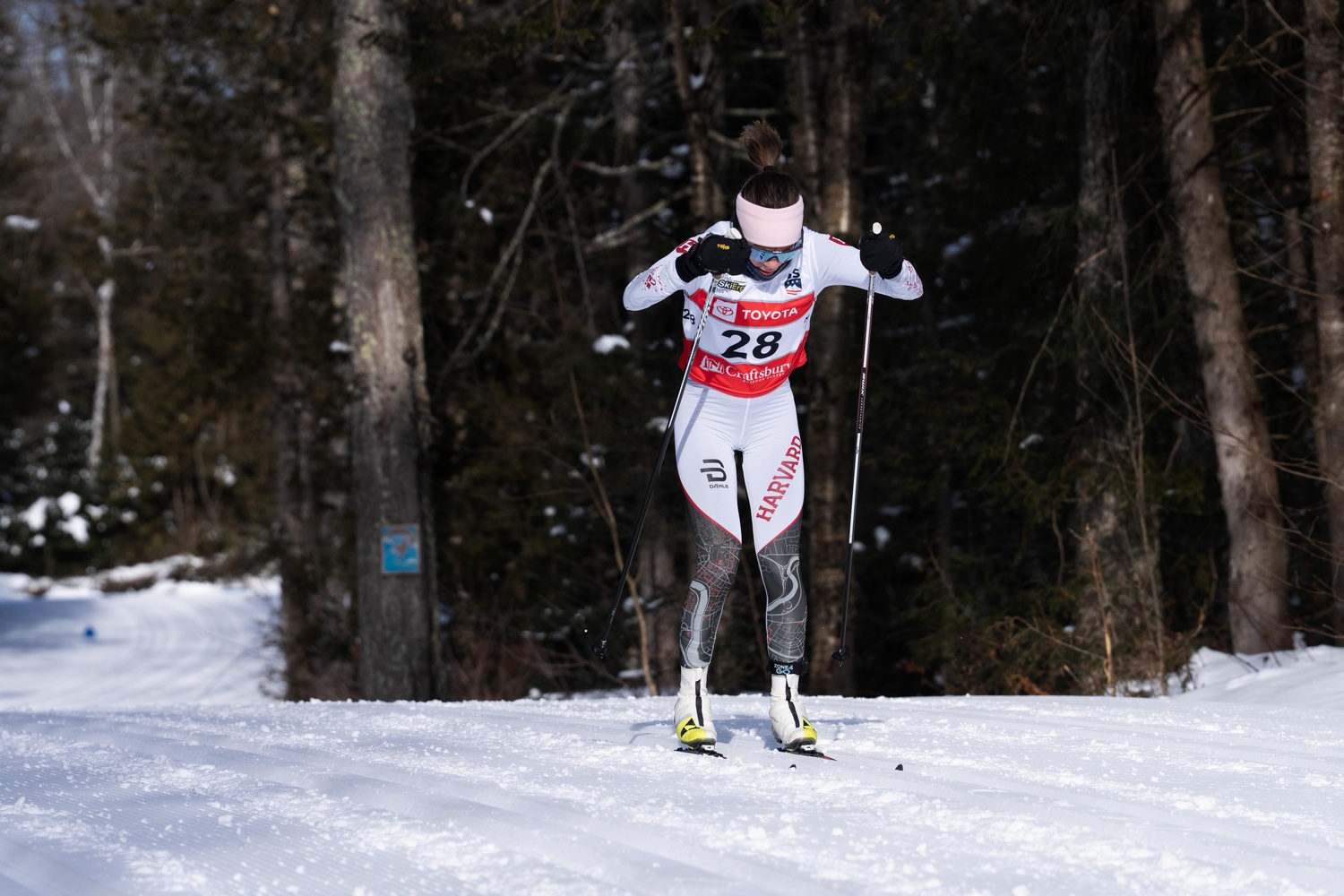 Junior Clara Lake races down the trail for the Harvard women's Nordic ski team. 