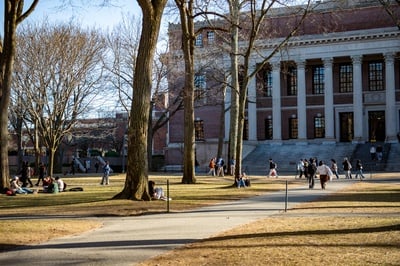Cover image for Harvard Built an AI Academic Adviser. Here’s How It Fared.
