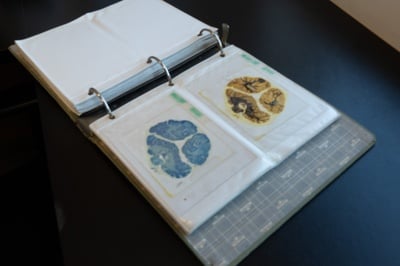 Cover image for Yakovlev's slides