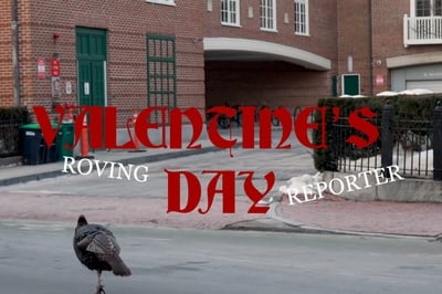 Cover image for Flyby Presents Roving Reporter: Valentine's Day Edition