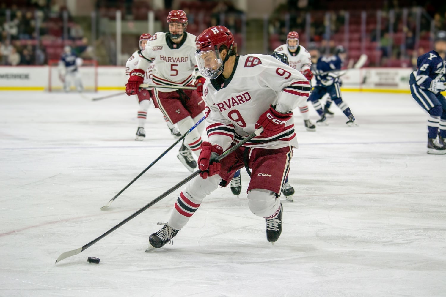 Senior Ryan Healey skates with the puck against the Yale Bulldogs earlier this season.