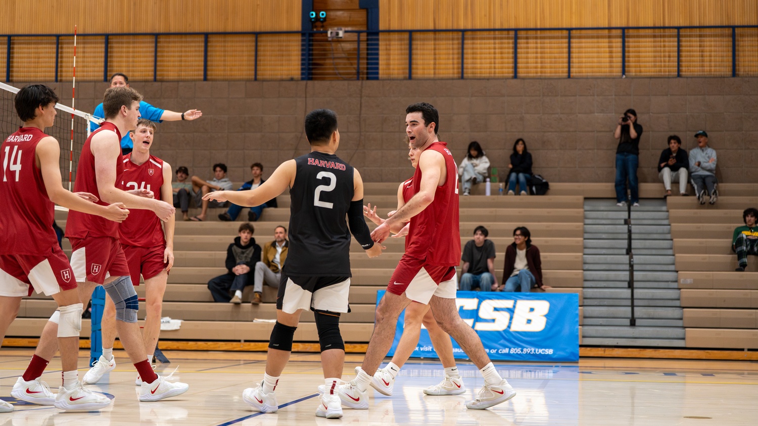 Harvard men's volleyball battles gauntlet schedule.