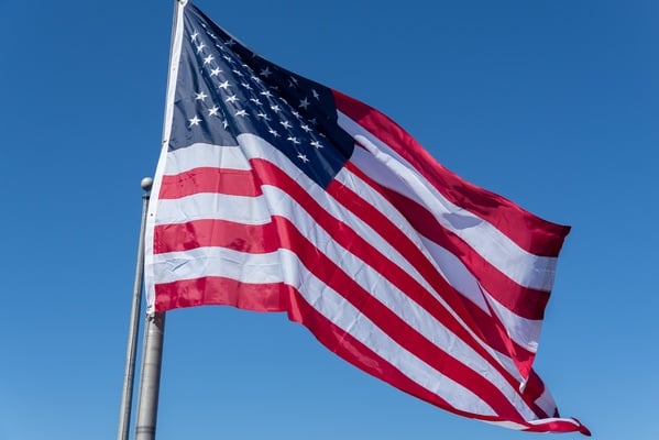 Cover image for Why America Is Losing Its Minds