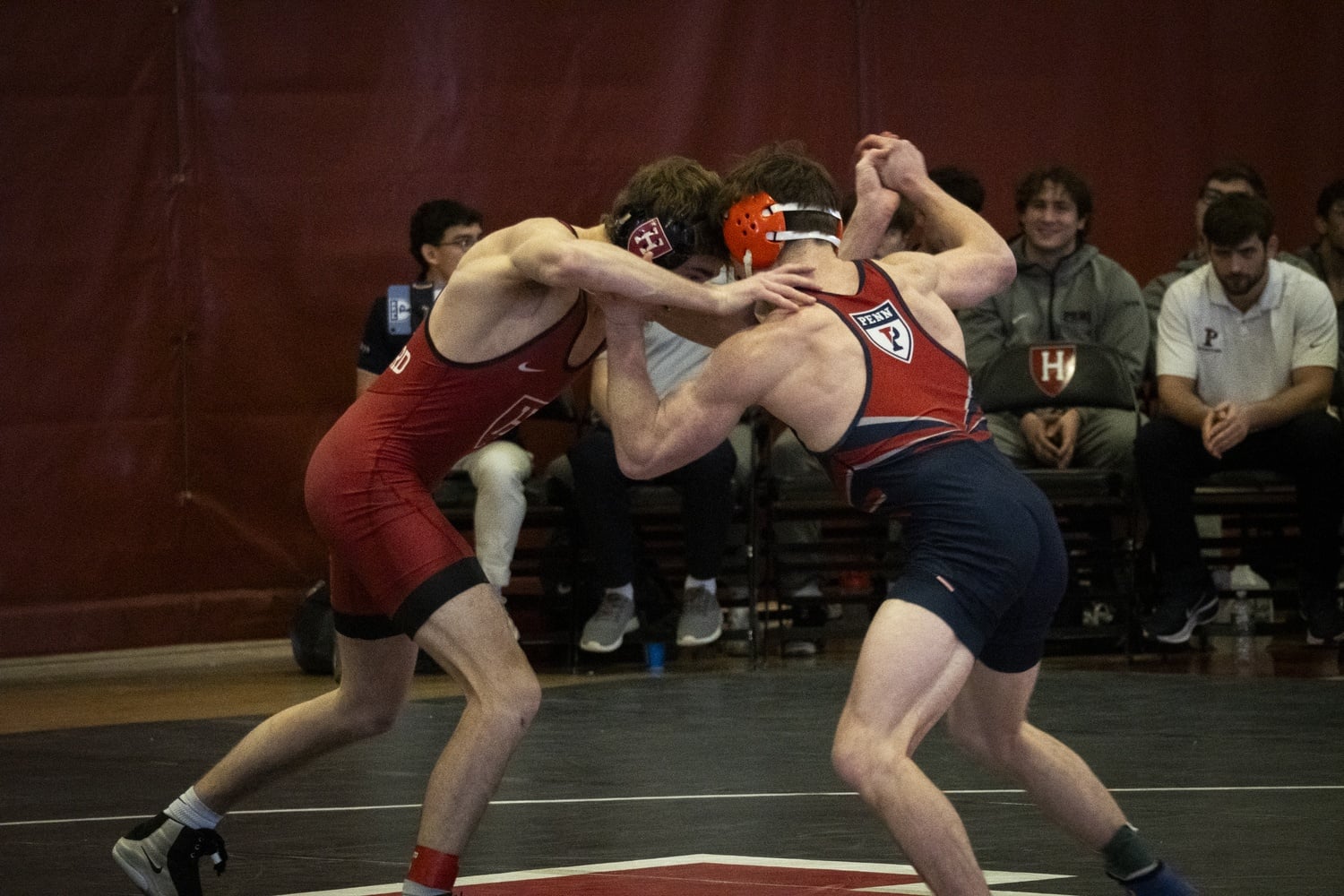 Harvard wrestling beat Brown this past weekend and will head into the Ivy League Championship with momentum.