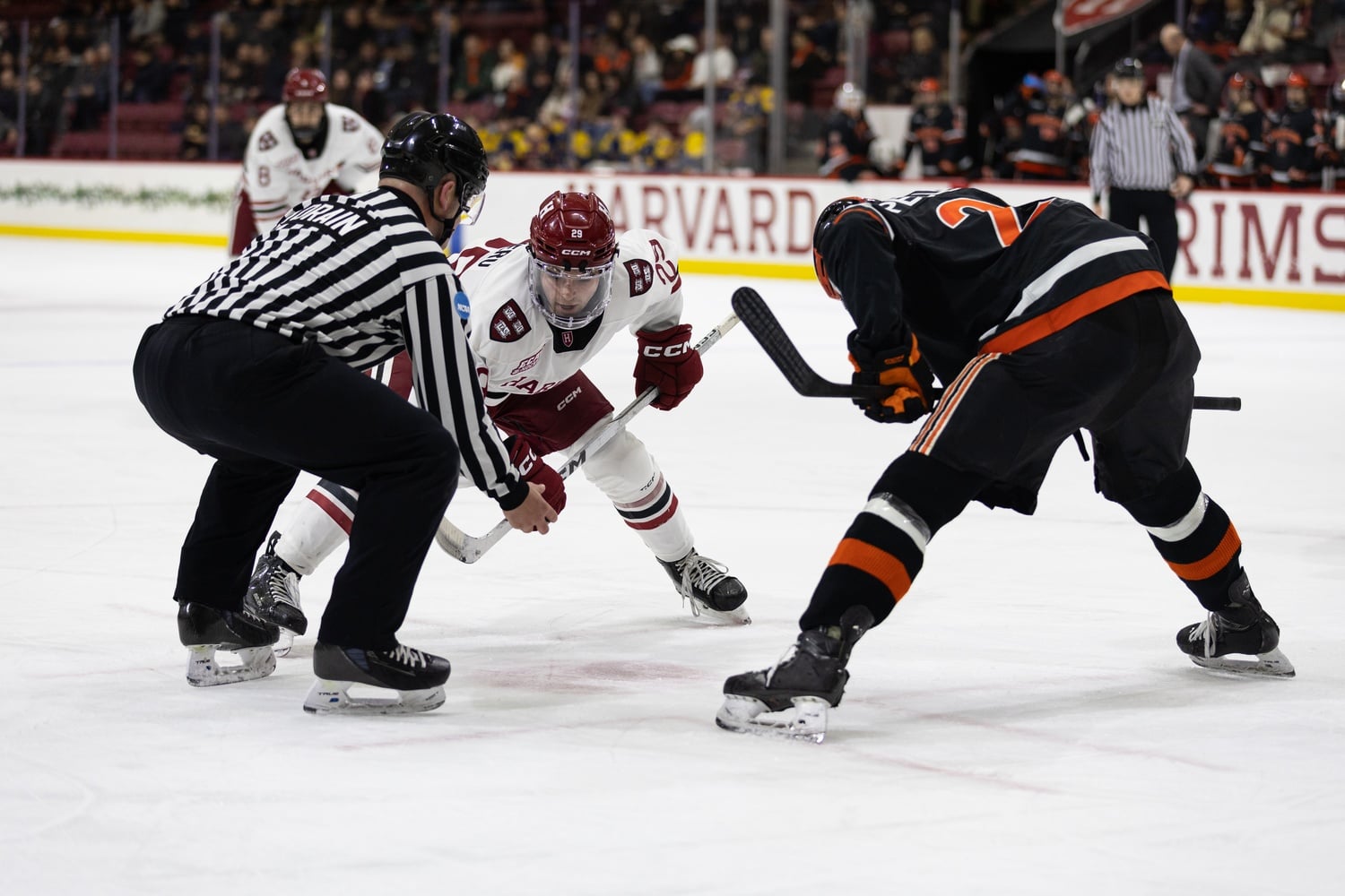 Senior Casey Severo prepares for a faceoff against Princeton. 