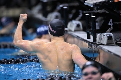 Cover image for Harvard Celebrates