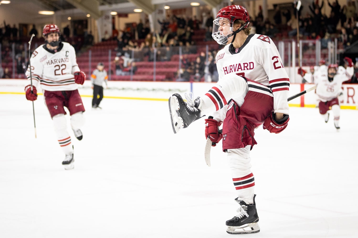 Sophomore forward Mick Thompson scored the golden goal for Harvard.