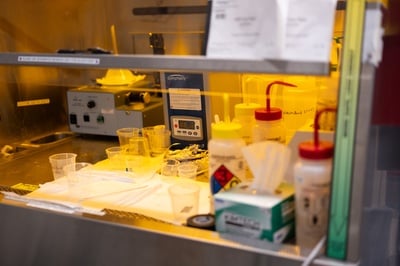 Cover image for Mundy Lab Chemicals Up Close