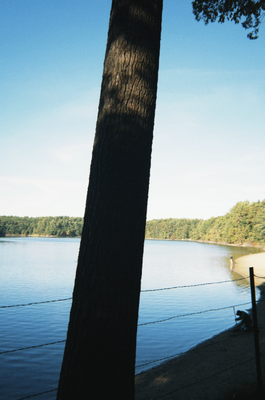 Cover image for Walden pond = tahoe