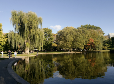 Cover image for boston public garden