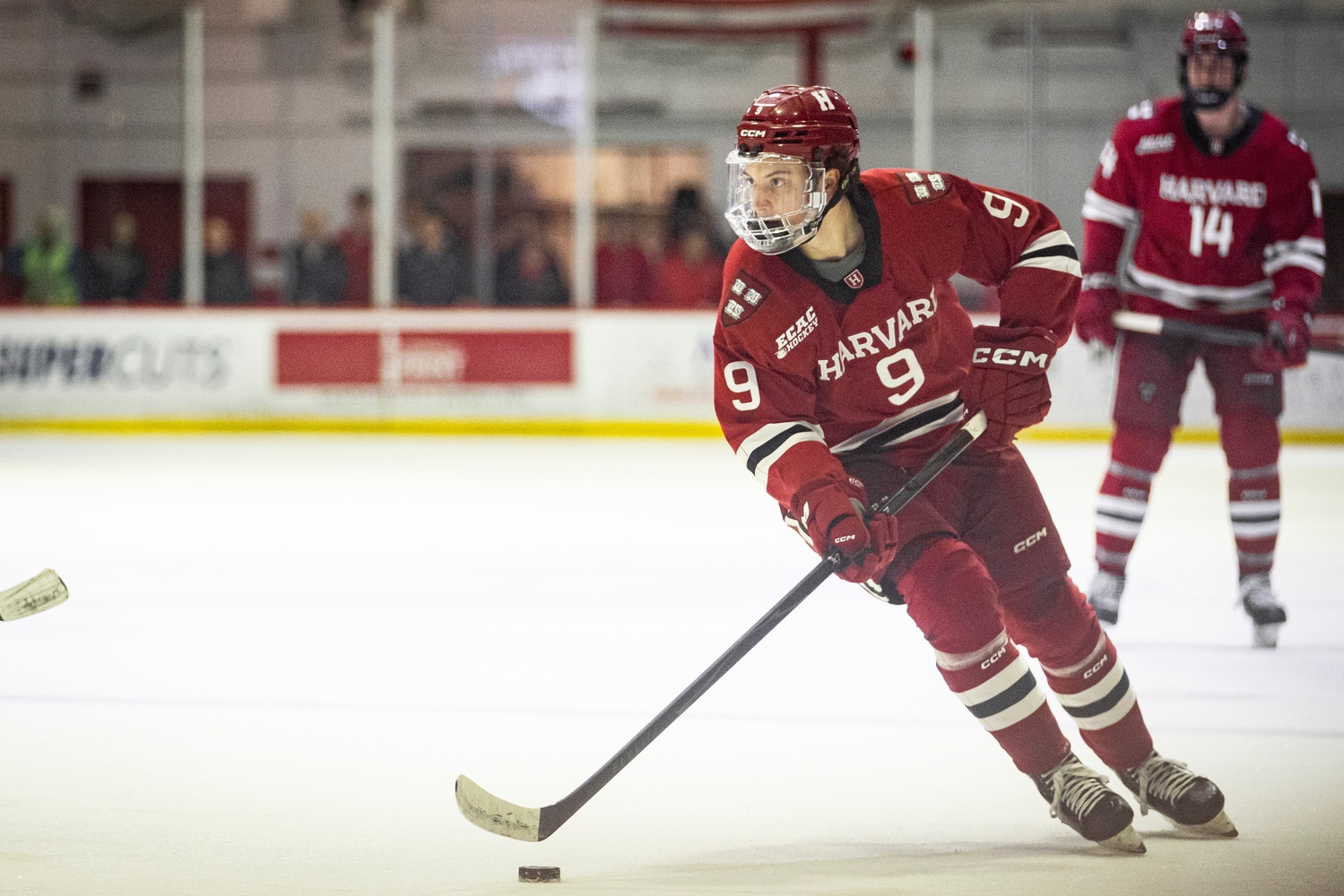 Senior defender Ryan Healey skates with the puck in Lynah Rink. 