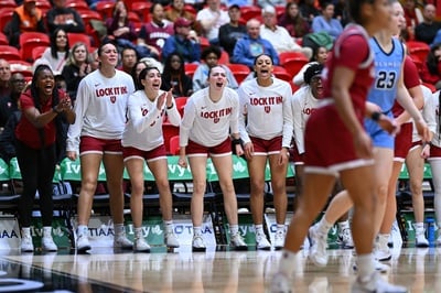 Cover image for Harvard's Bench Cheers