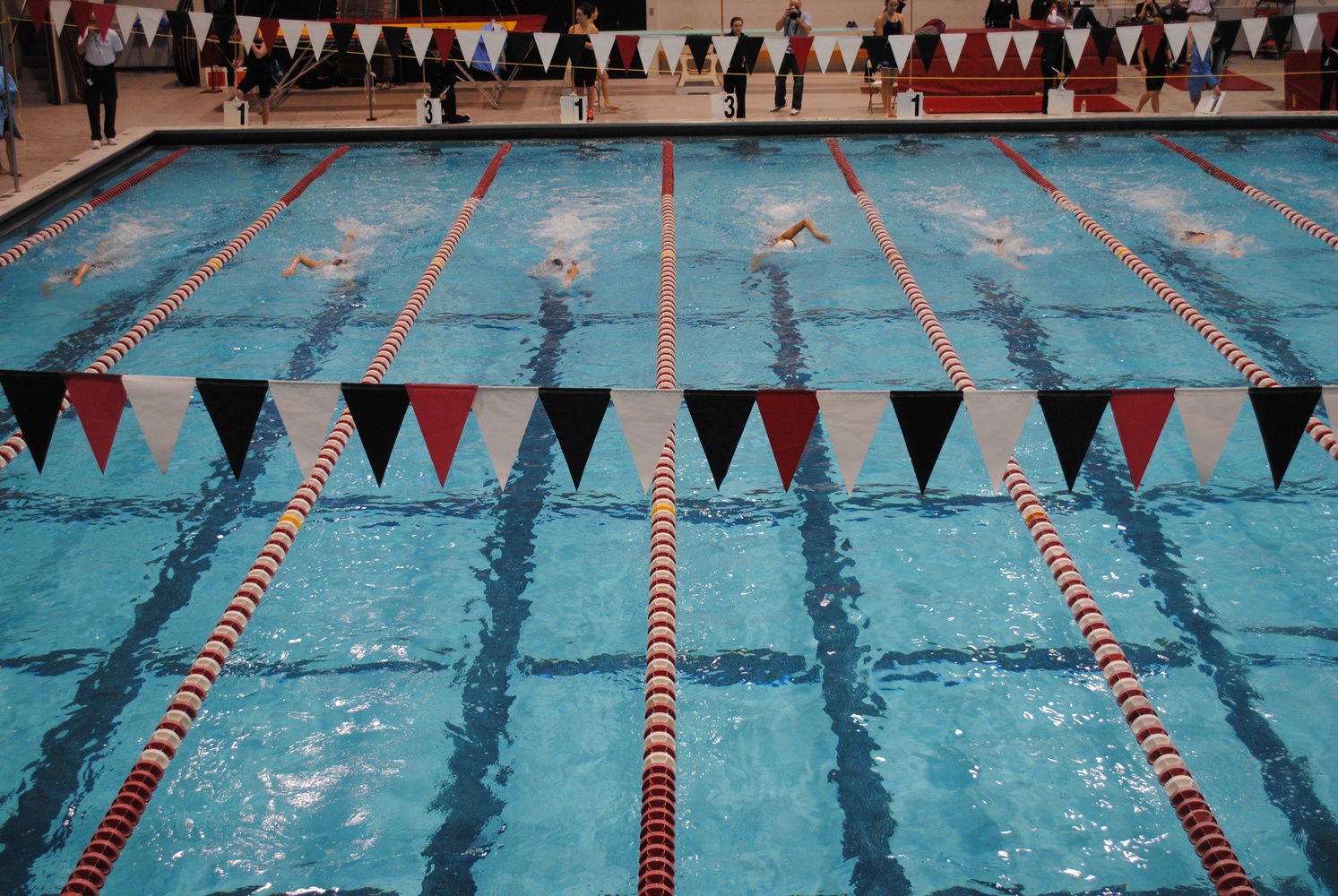 Harvard men's and women's swim and dive teams compete in the Zone A Championships.