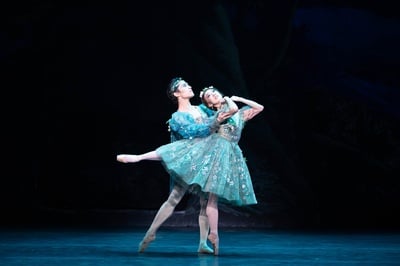 Cover image for ‘The Dream’ Review: Elegant, Enchanting, and Absolutely Hilarious