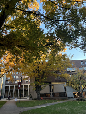 Cover image for Louie’s Legacy: Mather Inner House Competitions