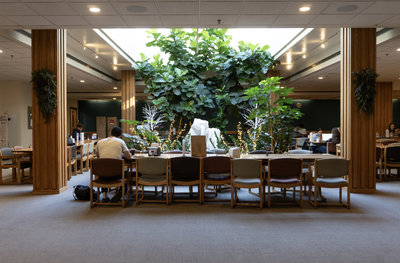 Cover image for Currier Dhall