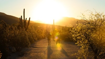 Cover image for In Photos: Snapshots of Spring Break 2026