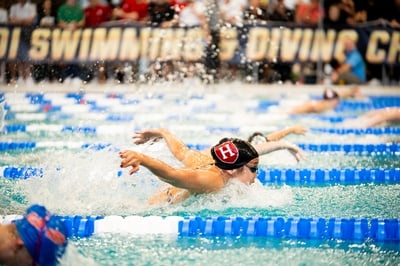 Cover image for Women’s Swim and Dive Concludes Season at NCAA Championships