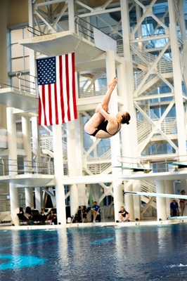 Cover image for Nina Janmyr Dives