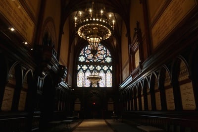 Cover image for The Harvard Brand Is Not for Sale