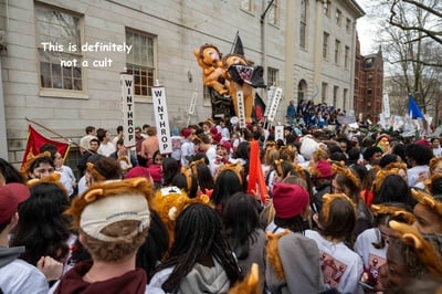 Cover image for Harvard House Starter Packs — Your Guide to House Essentials!
