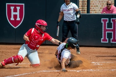 Cover image for Harvard Softball Goes 1-2 in Tight Series Against Dartmouth